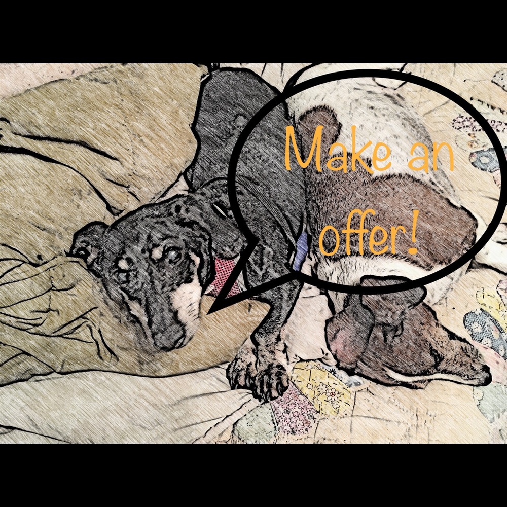 Meet your Posher, Seana